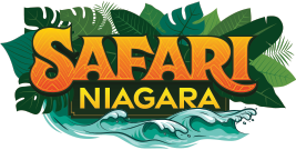 New Year’s Eve Niagara Falls - Safari Niagara